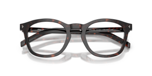 Root Tortoise / Demo Lens (17N1O1)