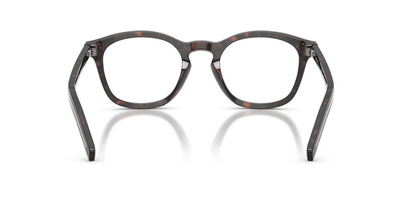 Prada PR C04V in Root Tortoise / Demo Lens (17N1O1) - Alternate View