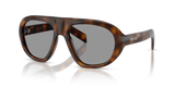 Juniper Tortoise / Grey (20D50Q)