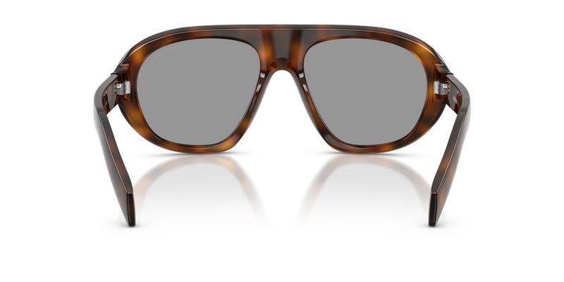 Prada PR C05S in Juniper Tortoise - Alternate View
