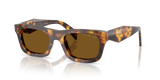 Honey Tortoise / Dark Brown Polarized (14L10U)