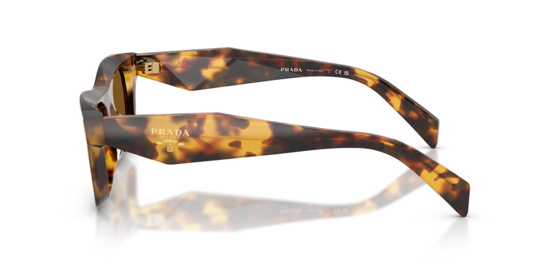 Prada PR C06S in Honey Tortoise / Dark Brown Polarized (14L10U) - Alternate View