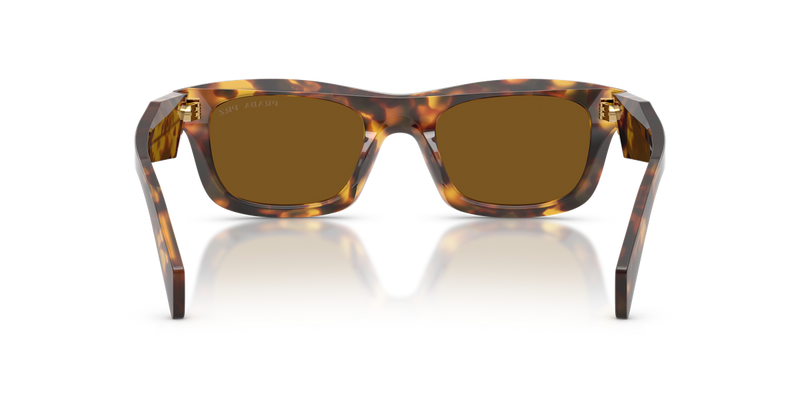 Prada PR C06S in Honey Tortoise / Dark Brown Polarized (14L10U) - Alternate View