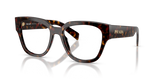 Root Tortoise / Demo Lens (17N1O1)