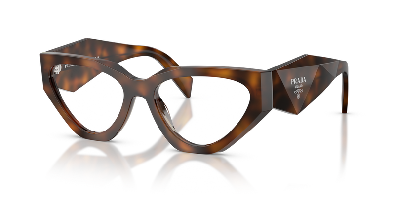 Prada PR C07V in Juniper Tortoise / Demo Lens (20D1O1) - Alternate View