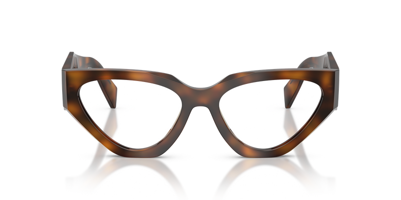 Prada PR C07V in Juniper Tortoise / Demo Lens (20D1O1) - Alternate View