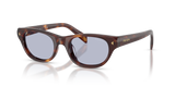 Classic Tortoise / Blue (15W30X)