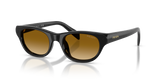 Black / Yellow Gradient Light Brown (16K10X)