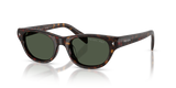 Havana / Dark Grey Polarized (17N90V)