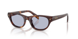 Classic Tortoise / Ultravioletta Bio (15W30X)
