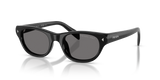 Black / Dark Grey Polarized (16K90T)