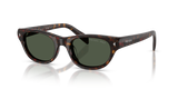 Havana / Dark Grey Polarized (17N90V)