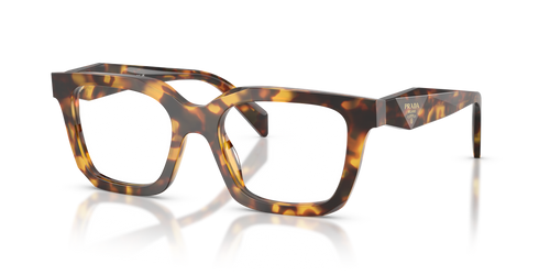 Honey Tortoise / Demo Lens (14L1O1)