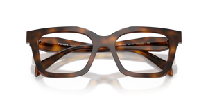 Juniper Tortoise / Demo Lens (20D1O1)