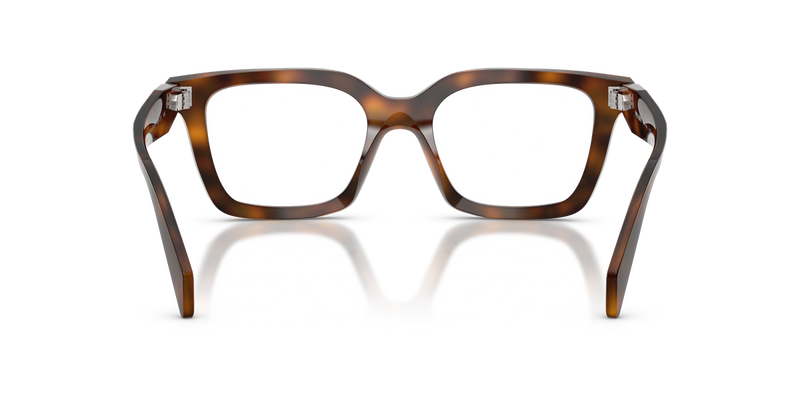 Prada PR C08V in Juniper Tortoise - Alternate View