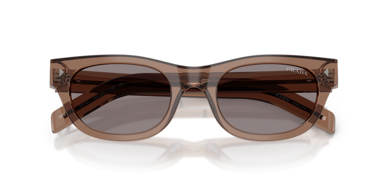 Prada PR C09SF in Transparent Clay - Alternate View