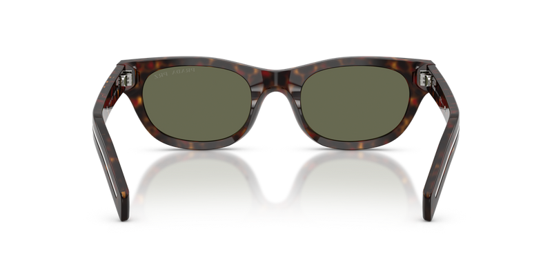 Prada PR C09S in Havana / Green Polarized (17N03R) - Alternate View