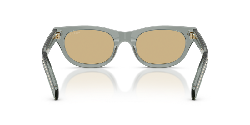 Prada PR C09S in Transparent Fog / Light Brown (21J70R) - Alternate View