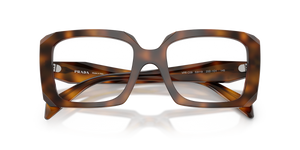 Juniper Tortoise / Demo Lens (20D1O1)