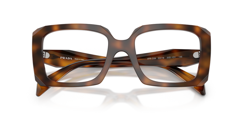 Prada PR C09V in Juniper Tortoise / Demo Lens (20D1O1) - Alternate View