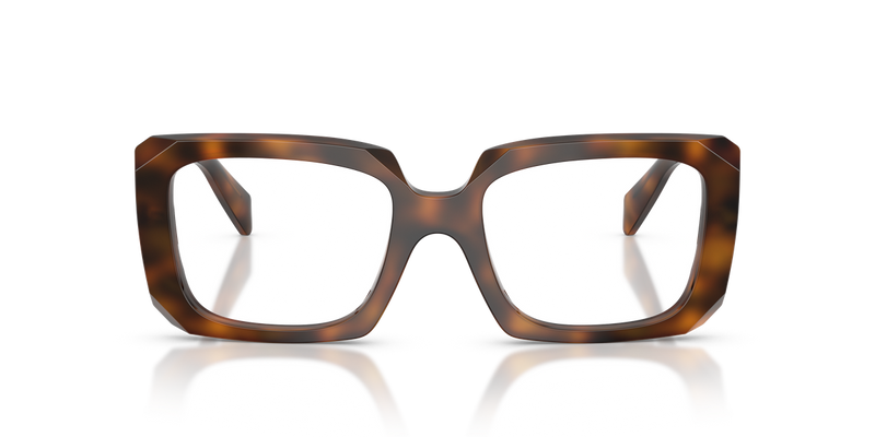 Prada PR C09V in Juniper Tortoise / Demo Lens (20D1O1) - Alternate View
