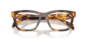 Honey Tortoise / Demo Lens (14L1O1)