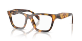Honey Tortoise / Demo Lens (14L1O1)