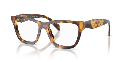 Honey Tortoise / Demo Lens (14L1O1)