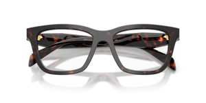 Root Tortoise / Demo Lens (17N1O1)