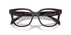 Root Tortoise / Demo Lens (17N1O1)