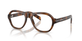 Juniper Tortoise / Demo Lens (20D1O1)