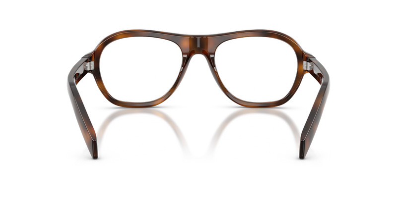 Prada PR C12V in Juniper Tortoise / Demo Lens (20D1O1) - Alternate View