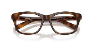 Juniper Tortoise / Demo Lens (20D1O1)