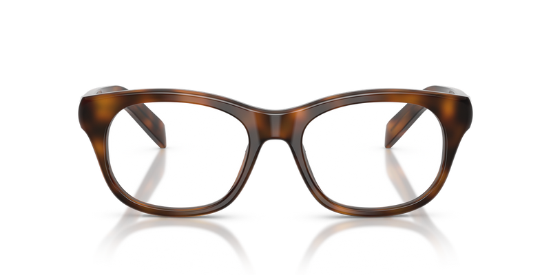 Prada PR C13VF in Juniper Tortoise / Demo Lens (20D1O1) - Alternate View