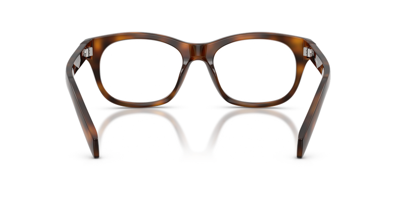 Prada PR C13V in Juniper Tortoise / Demo Lens (20D1O1) - Alternate View
