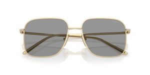 Pale Gold / Grey (ZVN50Q)