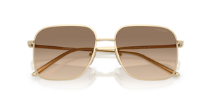 Pale Gold / Light Brown Gradient Light Grey (ZVN50T)