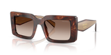 Caramel Tortoise / Brown Gradient (00K10S)