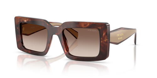Caramel Tortoise / Brown Gradient (00K10S)