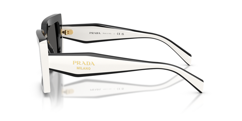 Prada PR D01SF in Black / Dark Grey (20G08Z) - Alternate View