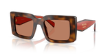 Juniper Tortoise/Cotto / Brown (01K90Q)