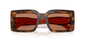 Juniper Tortoise/Cotto / Brown (01K90Q)