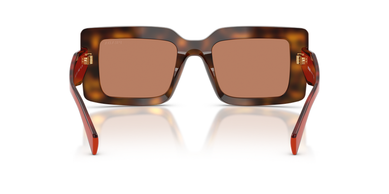 Prada PR D01S in Juniper Tortoise/Cotto / Brown (01K90Q) - Alternate View