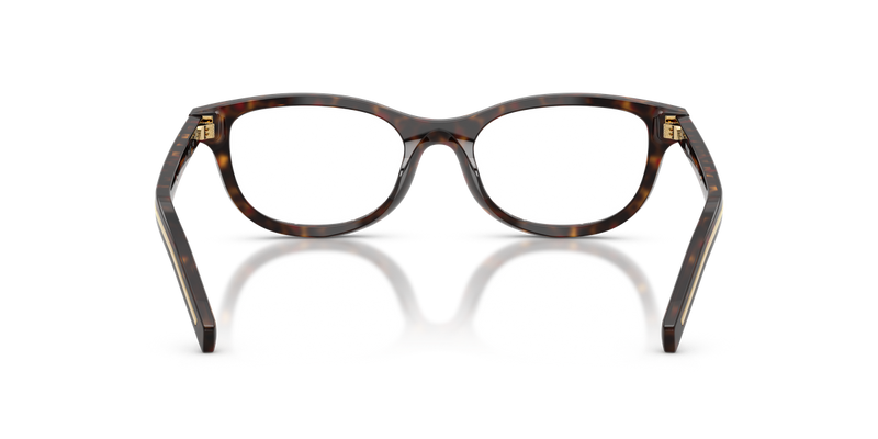 Prada PR D01VU in Root Havana / Demo Lens (17N1O1) - Alternate View