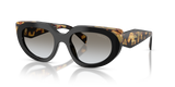 Black/Medium Tortoise / Grey Gradient (0CD80L)