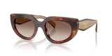 Caramel Tortoise / Brown Gradient (00K10S)