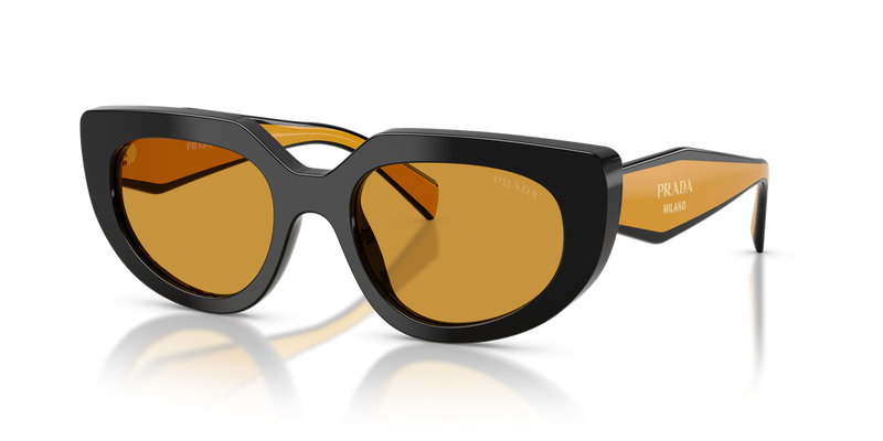 Prada PR D02S in Black / Dark Honey (02K50P) - Alternate View