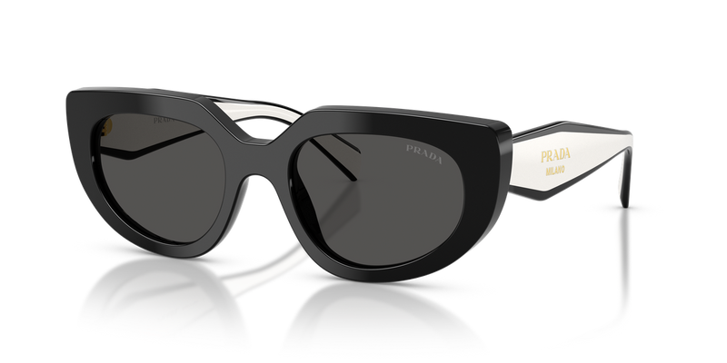 Prada PR D02S in Black / Dark Grey (20G08Z) - Alternate View