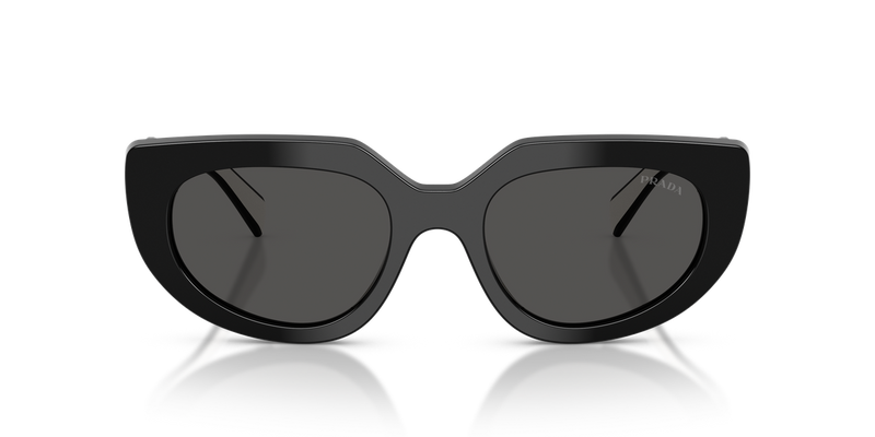 Prada PR D02S in Black / Dark Grey (20G08Z) - Alternate View