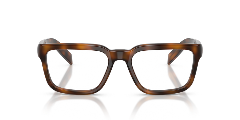 Prada PR D04VF in Juniper Havana / Demo Lens (20D1O1) - Alternate View